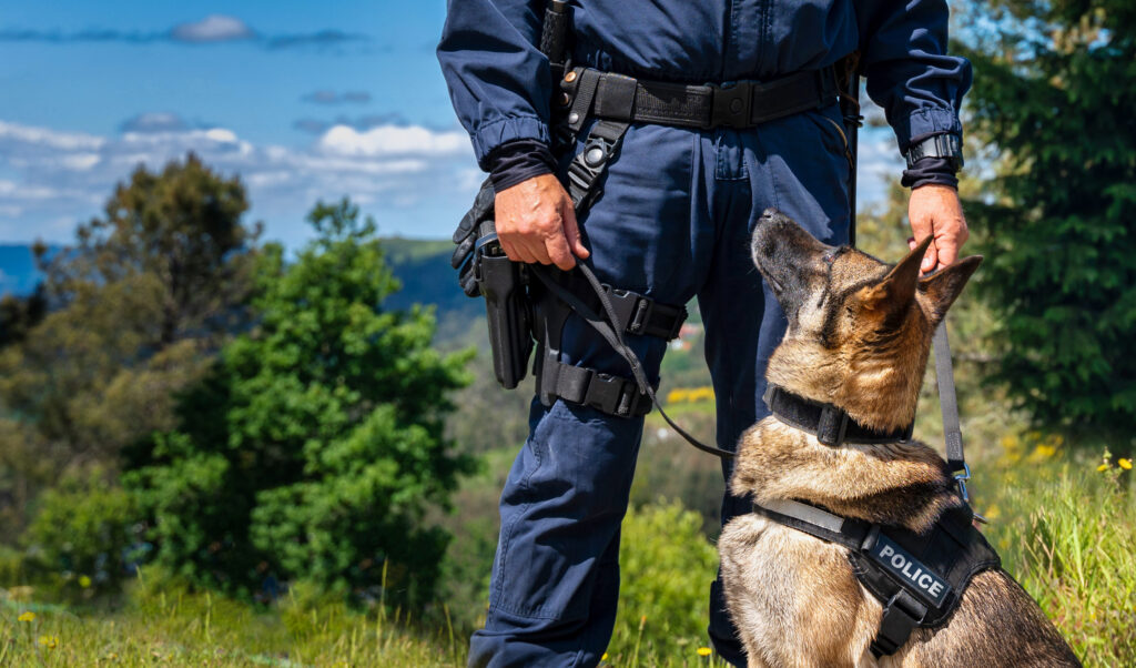 Police Officer with K9 partner. 